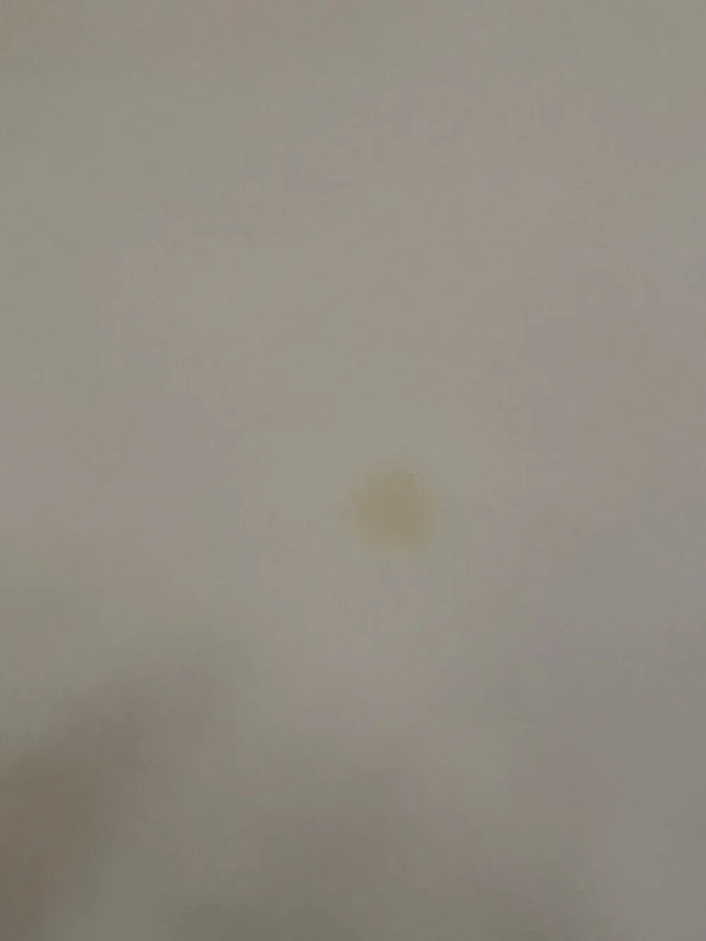 White Tablecloth  60